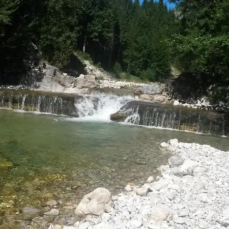 Almrausch *