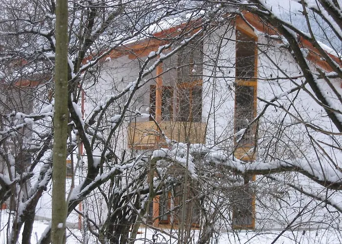 Almrausch