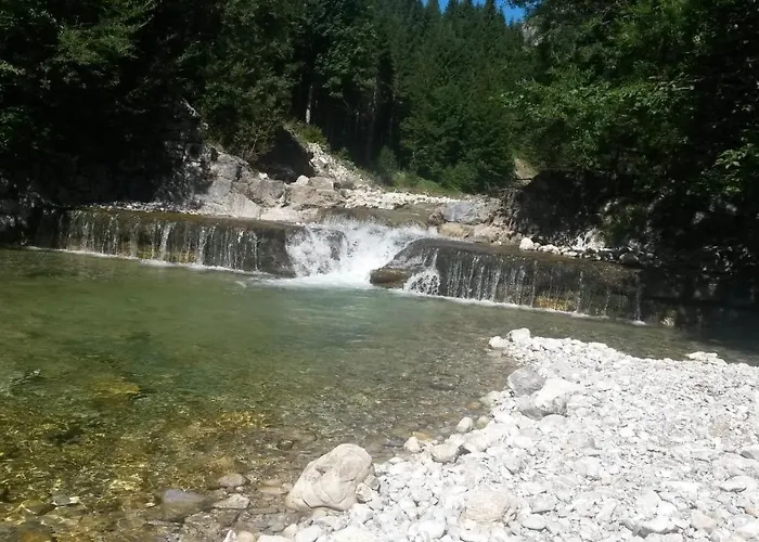 Almrausch *